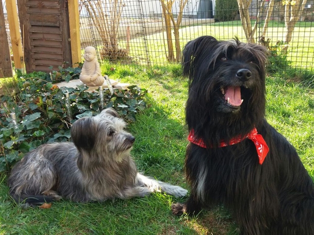 Im Frühjahr 2017 (10)